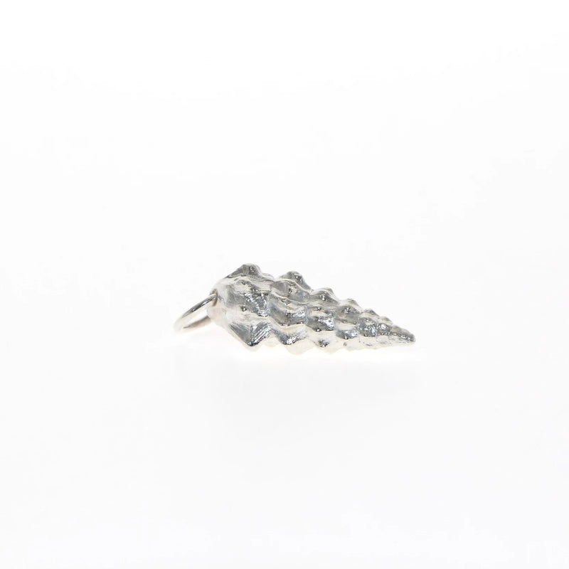 Lizard Island silver shell pendant