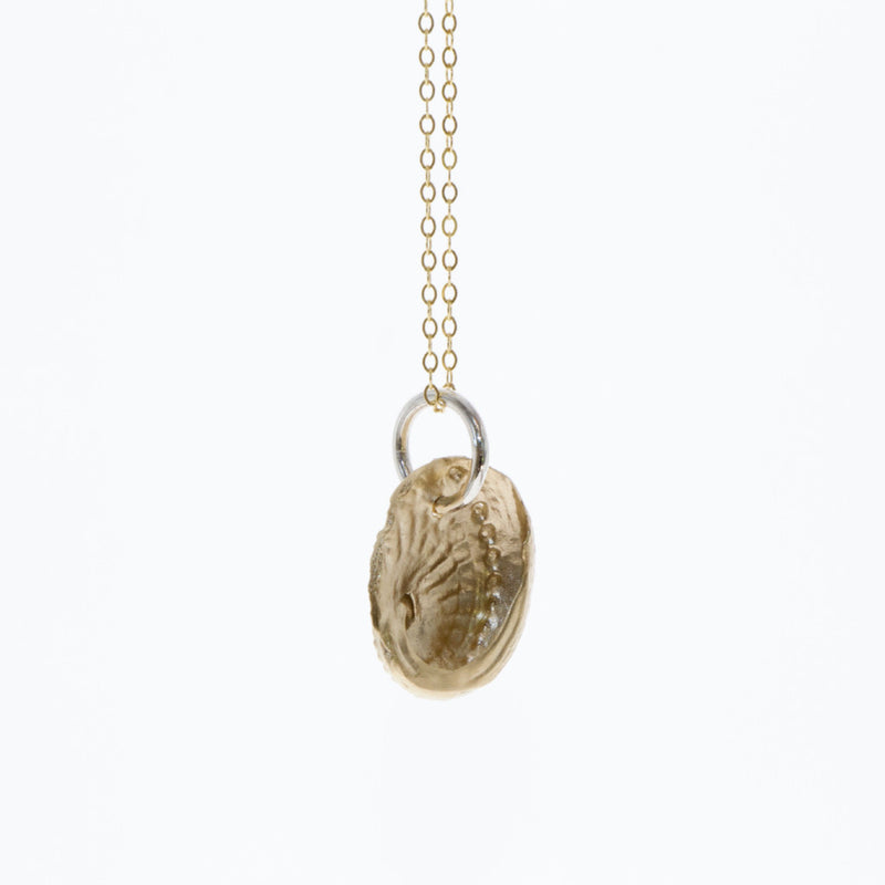Tamahra Prowse jewellery design. 9 carat gold and sterling silver abalone shell pendant.
