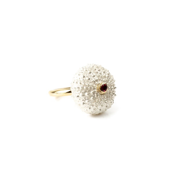 Urchin ring